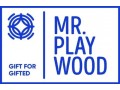 Mr.Playwood