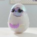 Hatchimals Alive Интерактивная игрушка-сюрприз Паффи и яйцо с туманом, светом и звуками (в ассортименте), SM19201/6069132