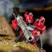 Transformers Generations Война за Кибертрон Клиффджампер, E7155